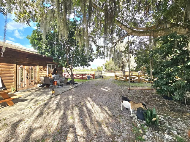 a view of a park with large trees