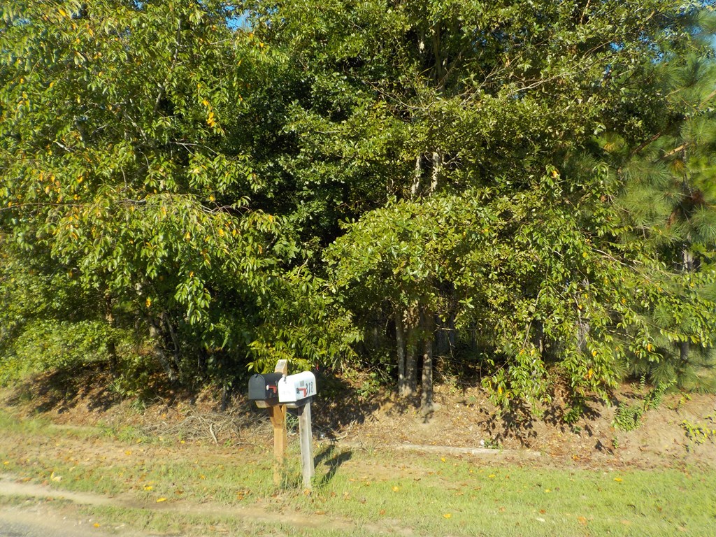 18/ Cty Road Headland, AL 36345 - Photo 10 of 22