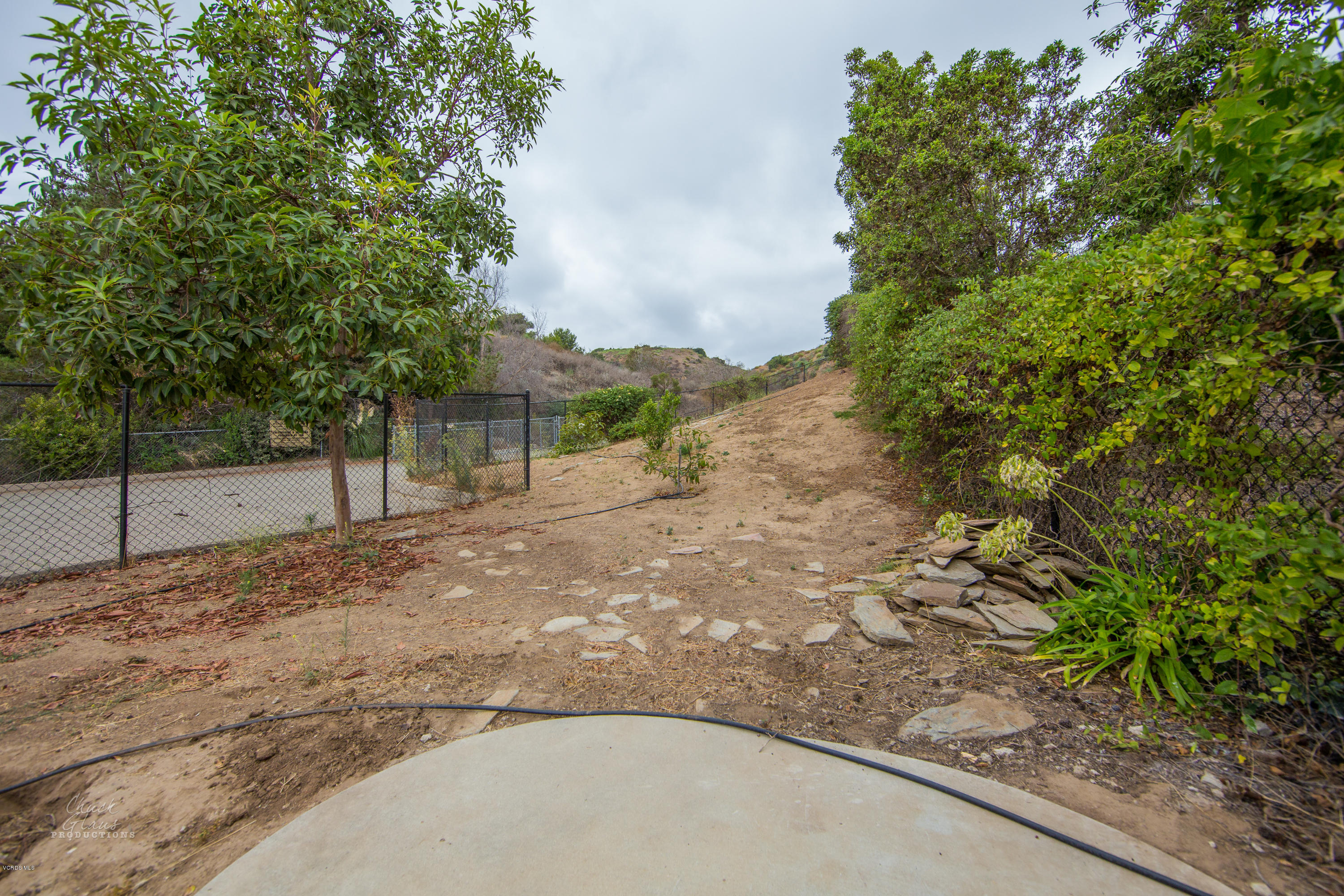 2073 Alborada Drive Camarillo, CA 93010 - Photo 51 of 51 a view of a yard with plants and trees