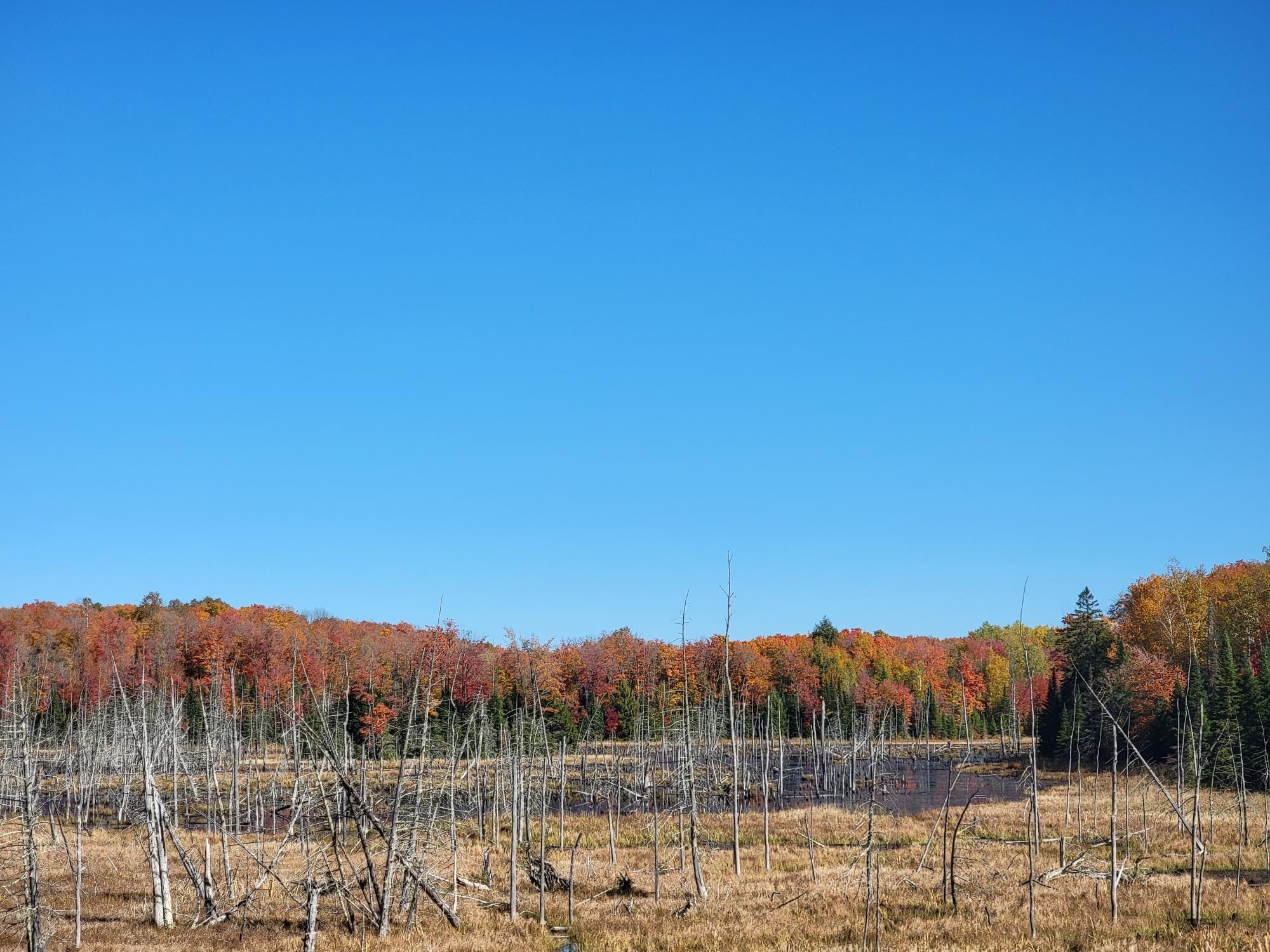 63999 Wolanek Road, Unit 313 ACRES Marengo, WI 54855 - Photo 82 of 93