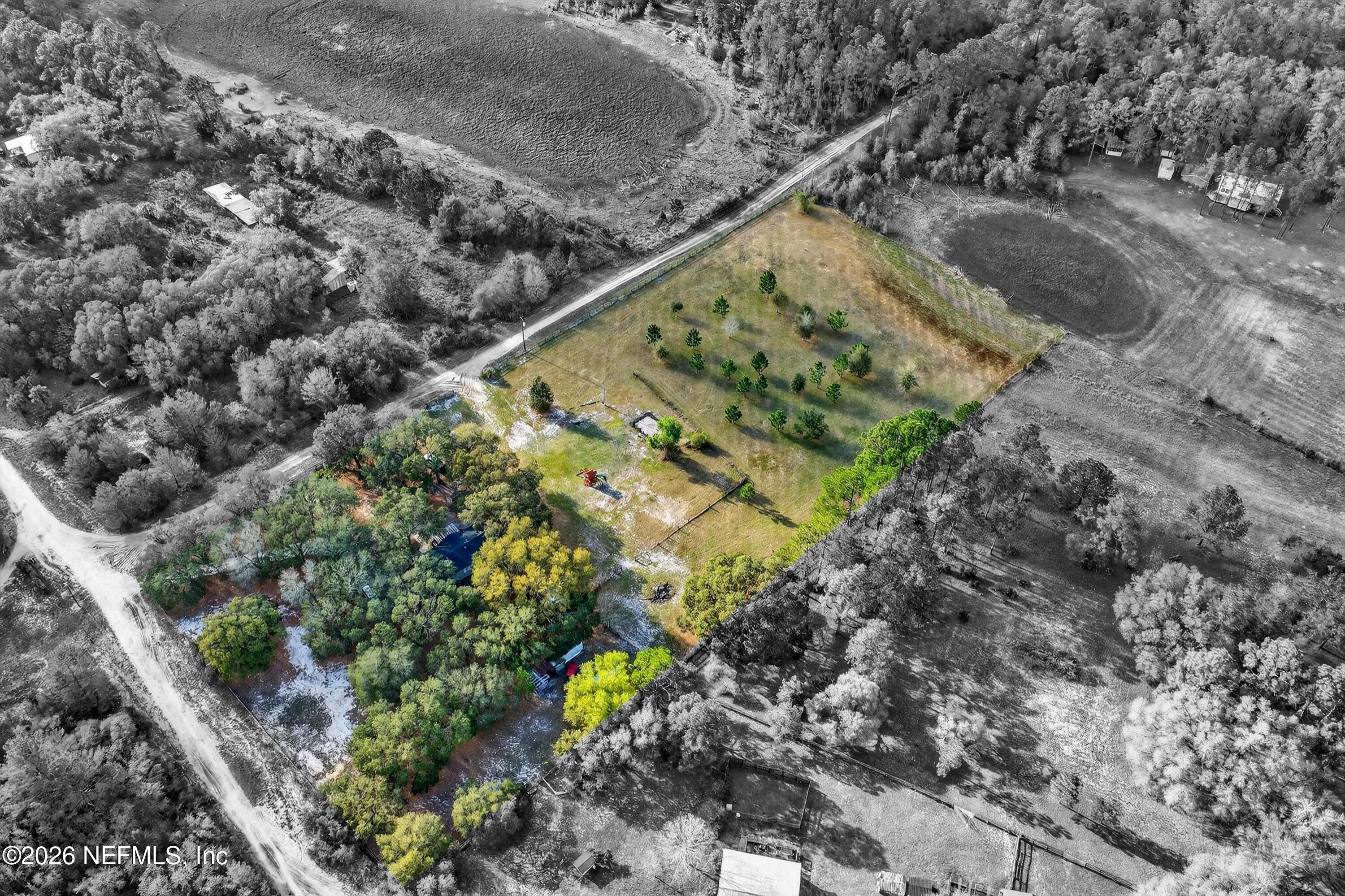 7655 Long Lake Road Keystone Heights, FL 32656 - Photo 57 of 58 a view of a yard with a tree