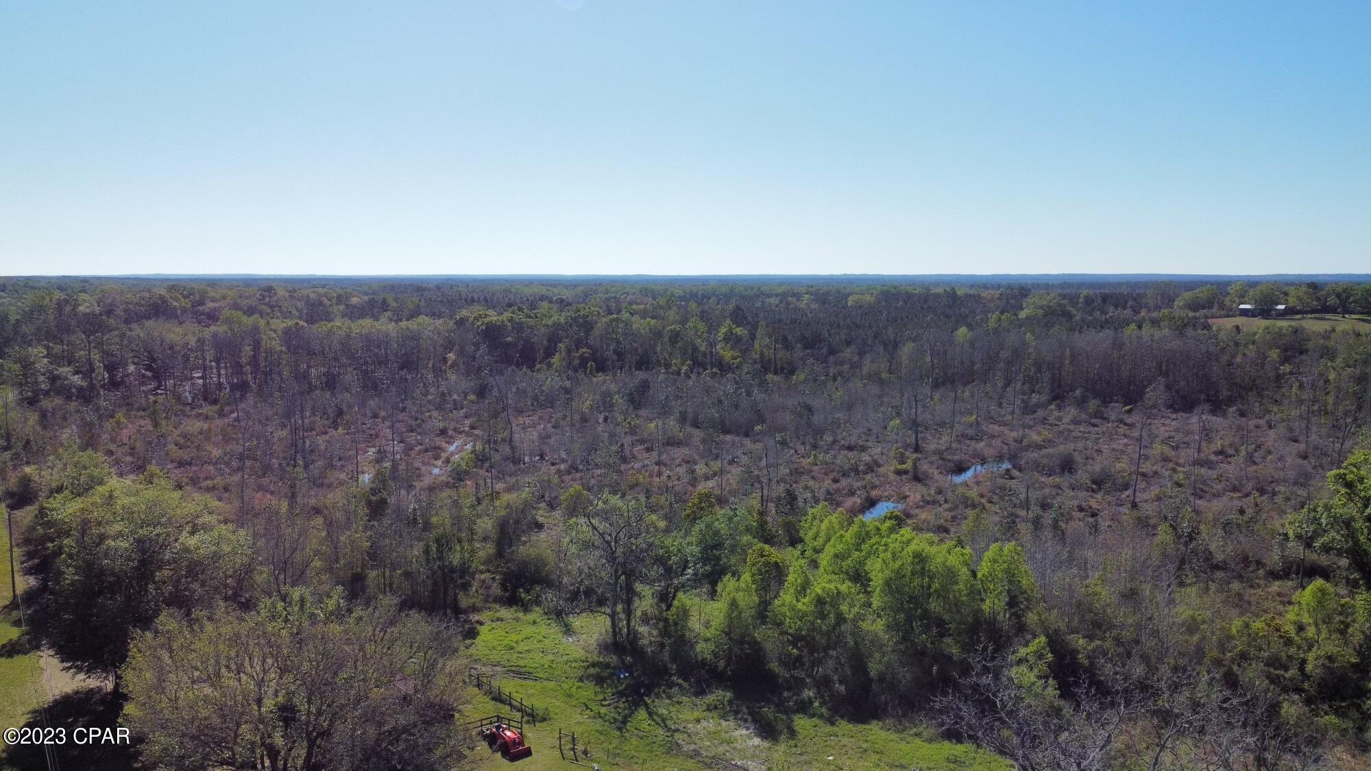 4507 Wilderness Road Vernon, FL 32462 - Photo 11 of 15