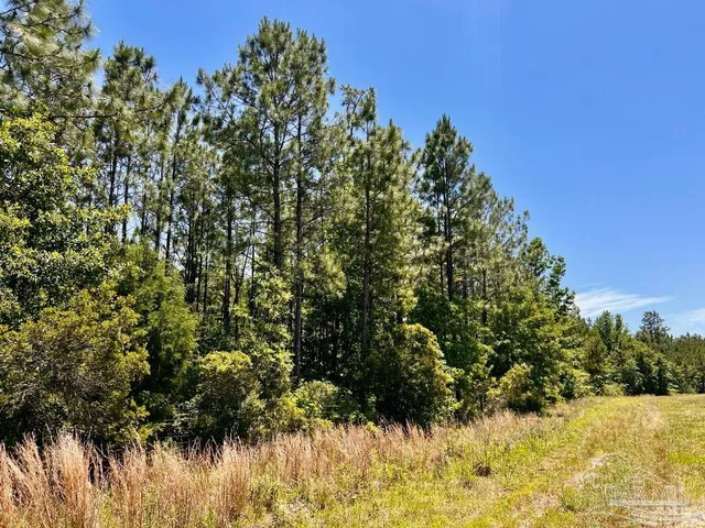 $69,000 | Lot 50 Mineral Springs Road, Jay, FL 32565