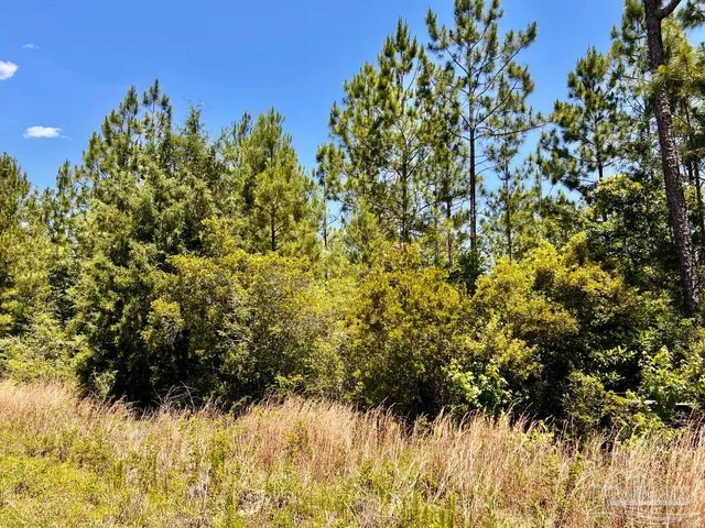 $69,000 | Lot 50 Mineral Springs Road, Jay, FL 32565