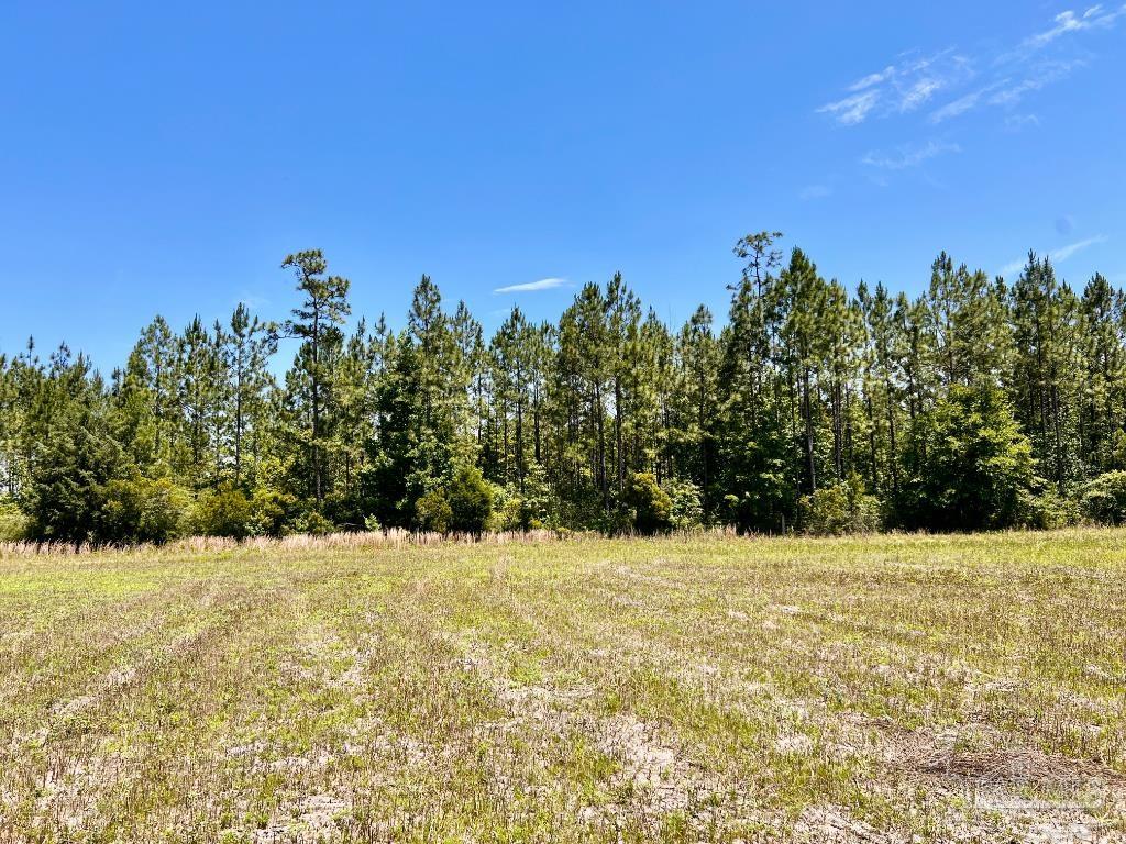 Lot 50 Mineral Springs Road Jay, FL 32565 - Photo 14 of 21