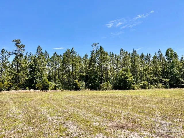 $69,000 | Lot 50 Mineral Springs Road, Jay, FL 32565