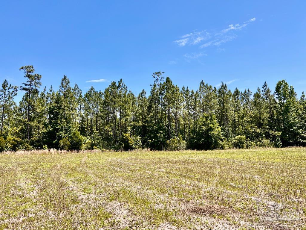 Lot 50 Mineral Springs Road Jay, FL 32565 - Photo 15 of 21