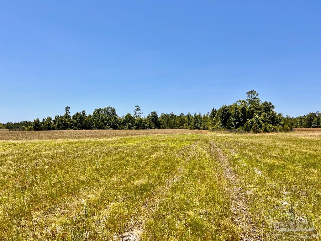 Lot 50 Mineral Springs Road Jay, FL 32565 - Photo 17 of 21