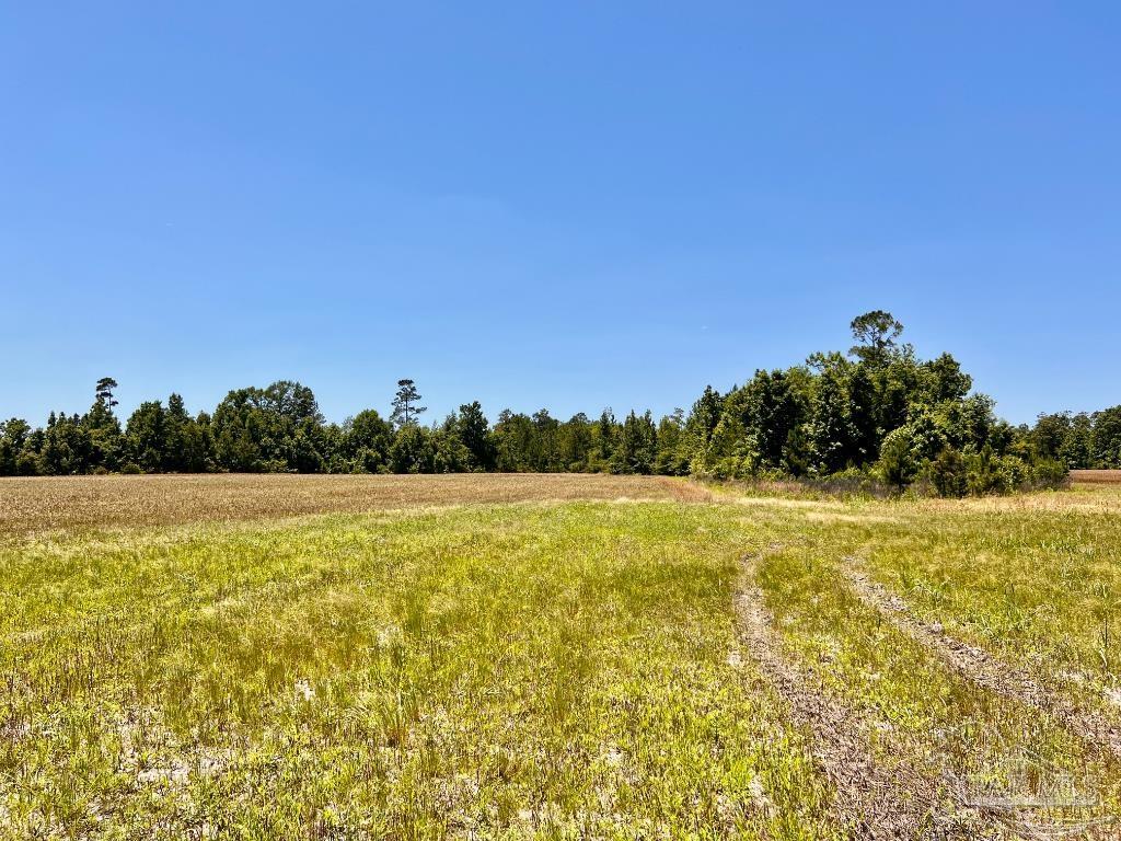 Lot 50 Mineral Springs Road Jay, FL 32565 - Photo 18 of 21