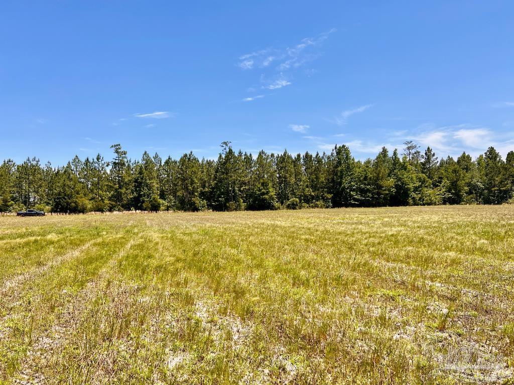 Lot 50 Mineral Springs Road Jay, FL 32565 - Photo 19 of 21