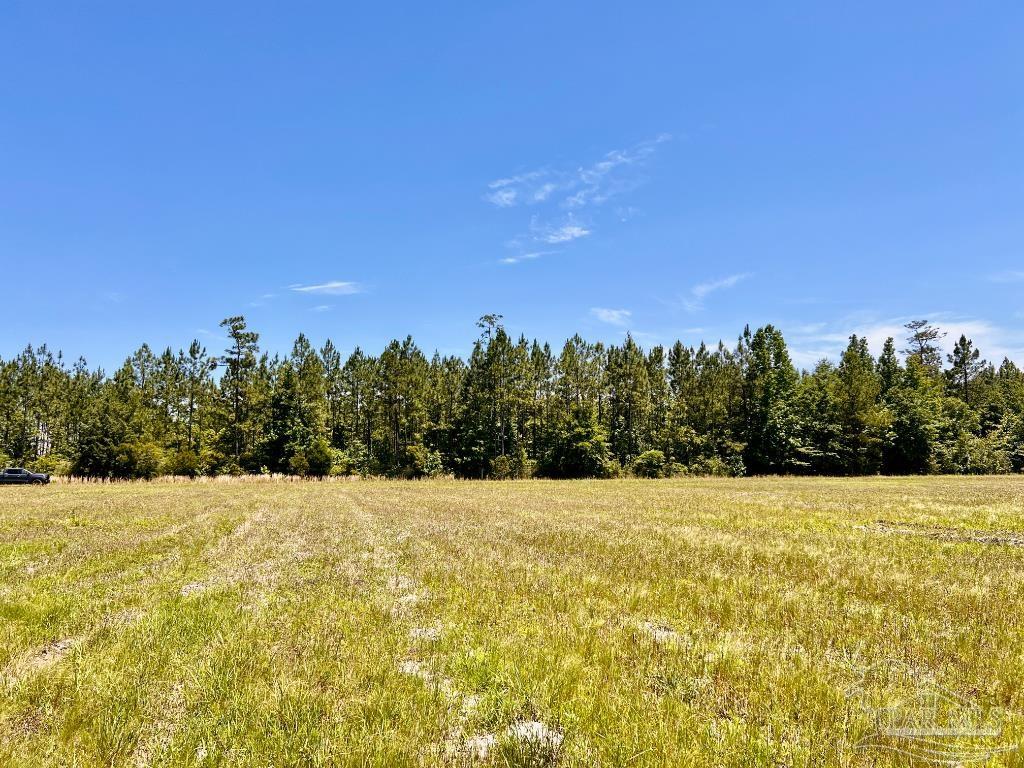 Lot 50 Mineral Springs Road Jay, FL 32565 - Photo 20 of 21