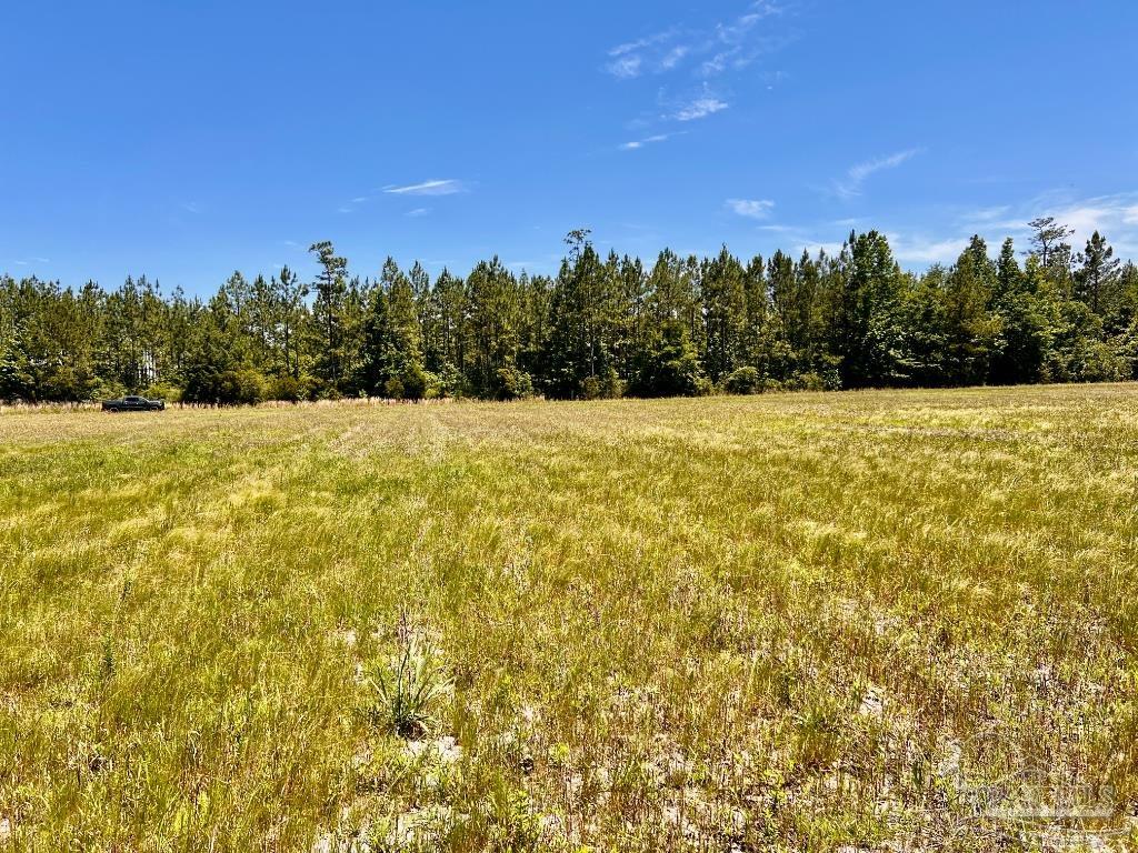 Lot 50 Mineral Springs Road Jay, FL 32565 - Photo 3 of 21