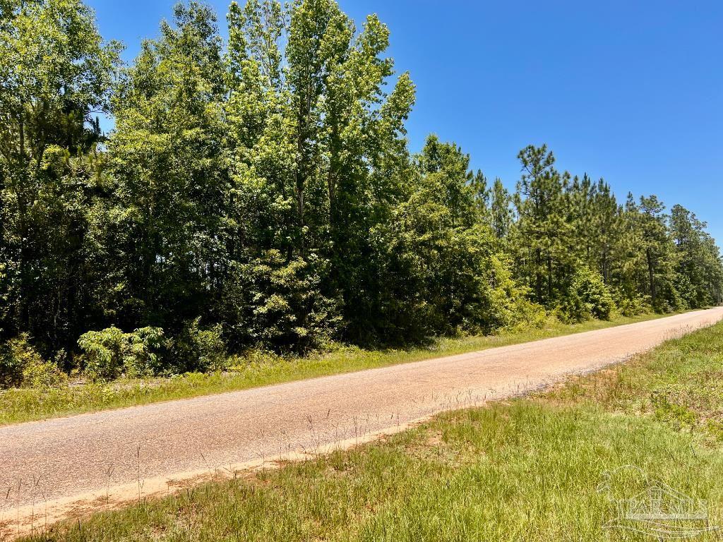 Lot 50 Mineral Springs Road Jay, FL 32565 - Photo 5 of 21