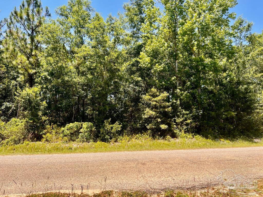 Lot 50 Mineral Springs Road Jay, FL 32565 - Photo 6 of 21