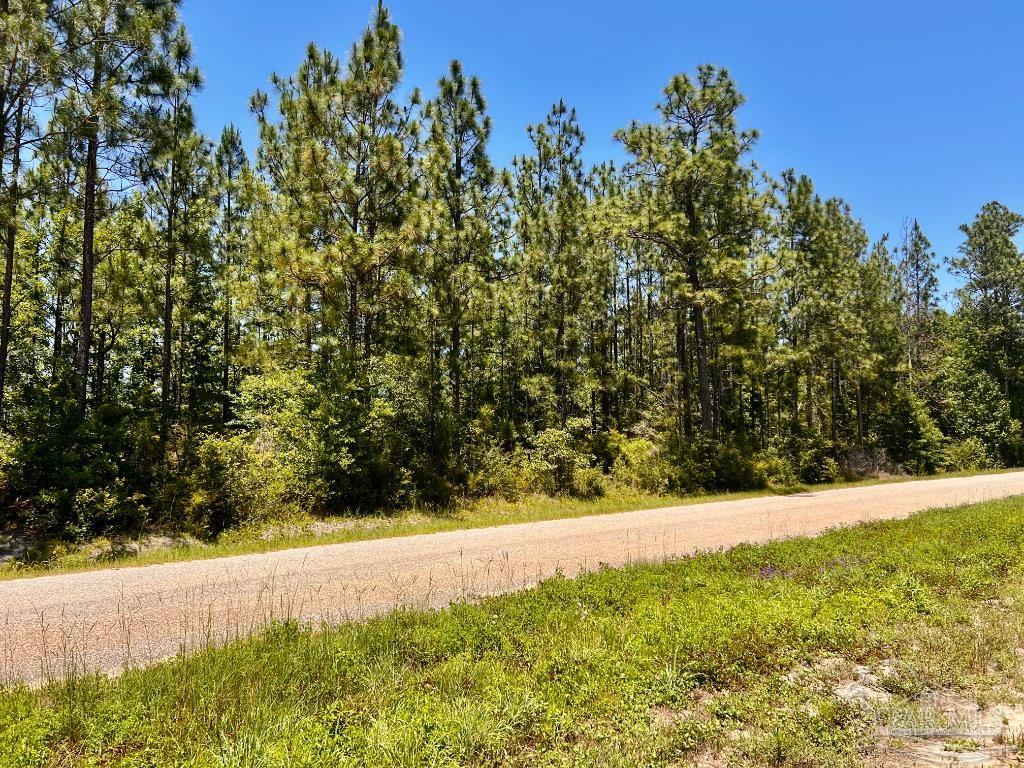 Lot 50 Mineral Springs Road Jay, FL 32565 - Photo 7 of 21