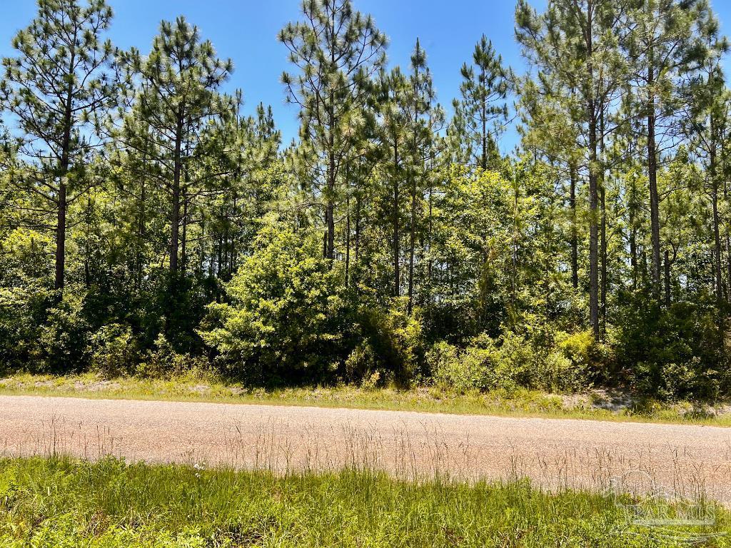 Lot 50 Mineral Springs Road Jay, FL 32565 - Photo 8 of 21