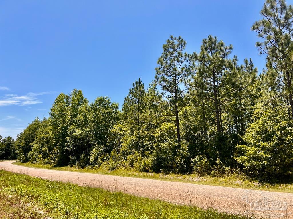 Lot 50 Mineral Springs Road Jay, FL 32565 - Photo 9 of 21