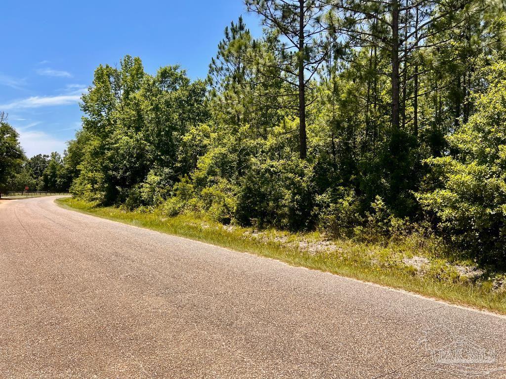 Lot 50 Mineral Springs Road Jay, FL 32565 - Photo 10 of 21