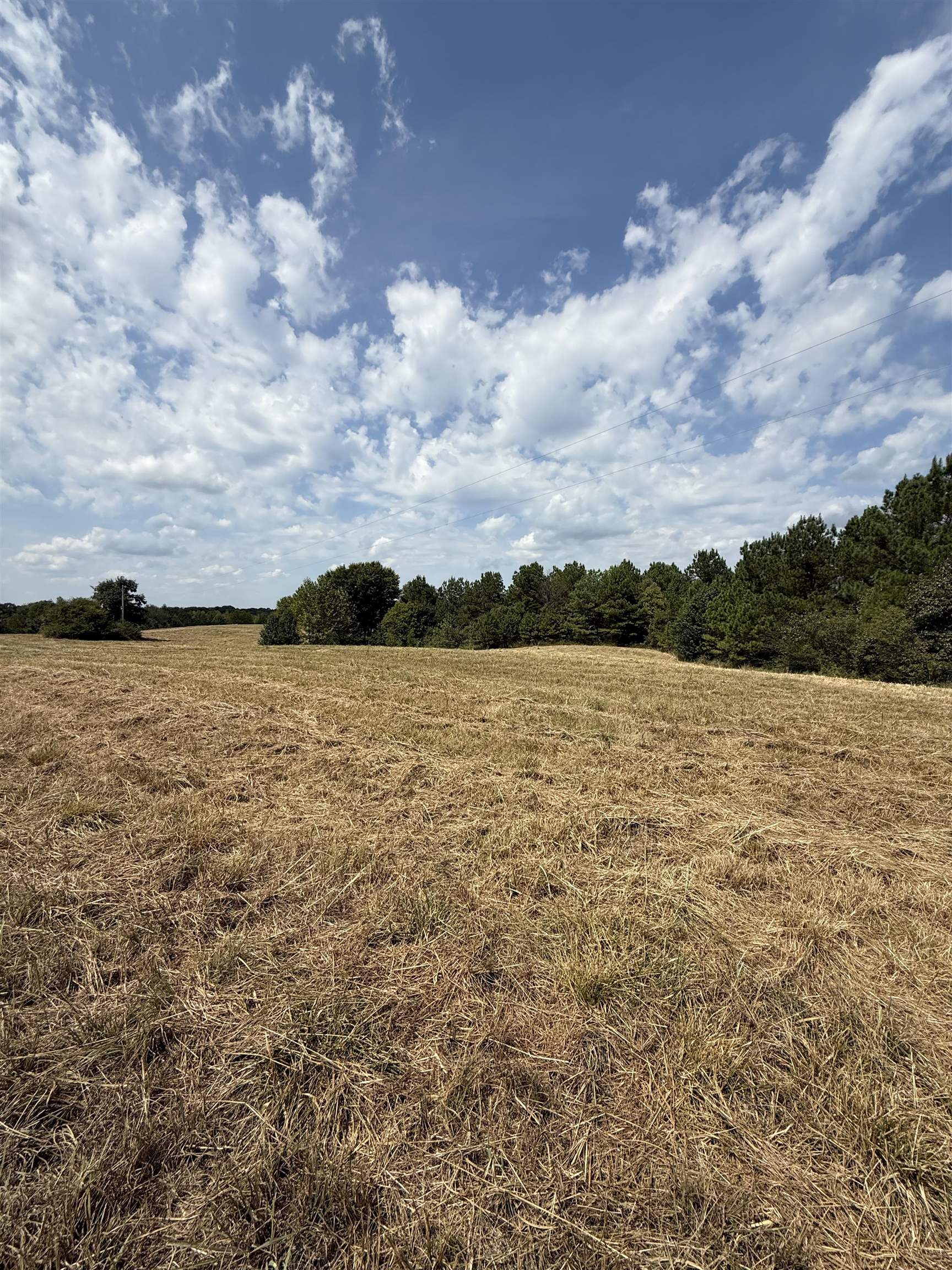 225 Teague Road Toone, TN 38381 - Photo 3 of 13 a view of a lake view