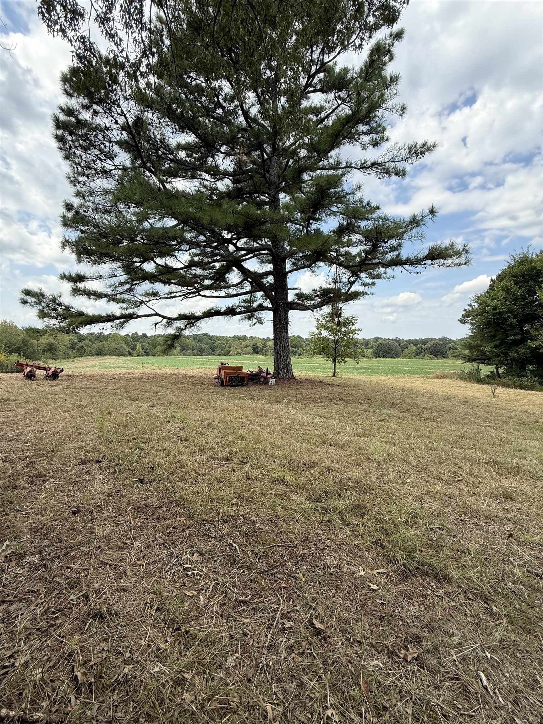 225 Teague Road Toone, TN 38381 - Photo 6 of 13 a view of an ocean with a large tree