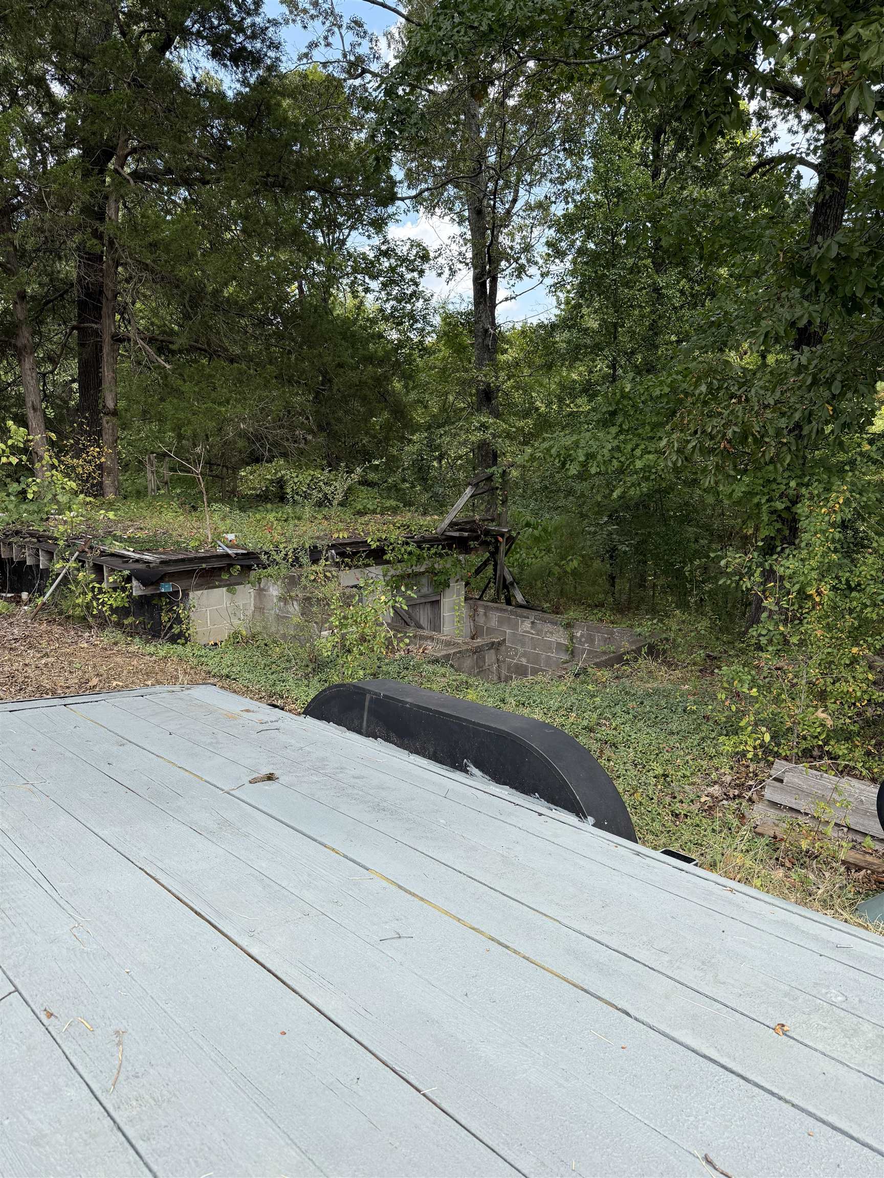 225 Teague Road Toone, TN 38381 - Photo 10 of 13 a view of a street view