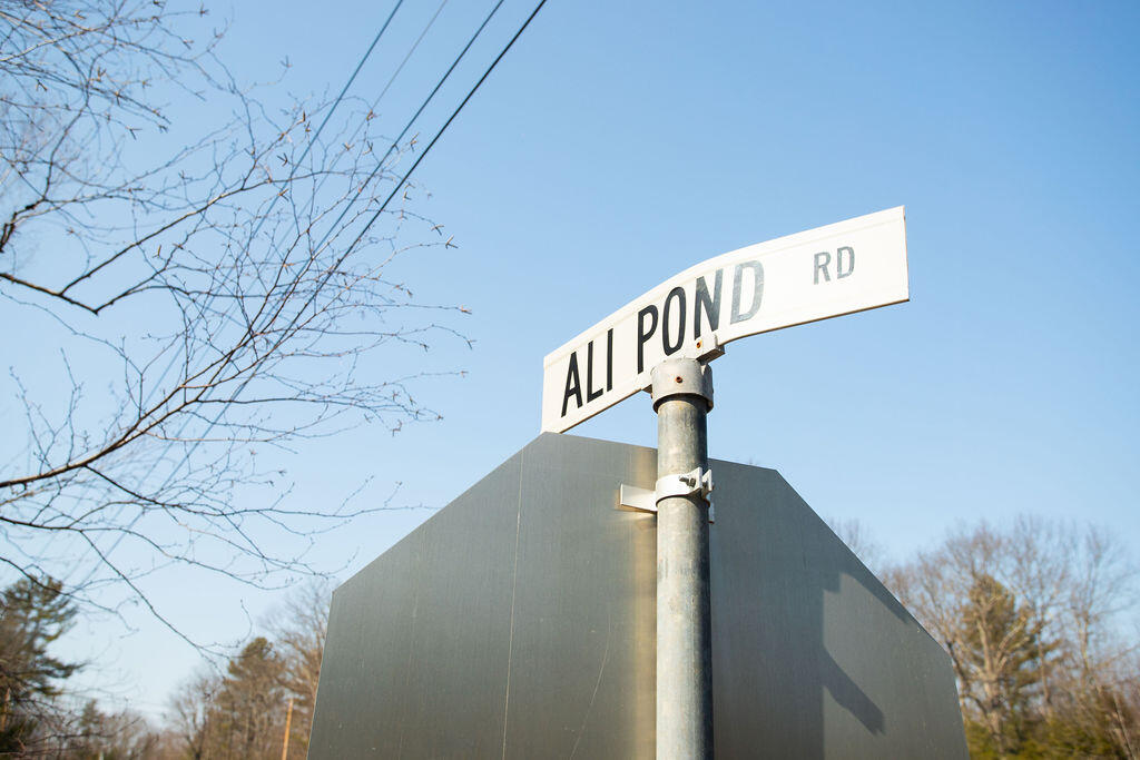 Tbd Ali Pond Road, Unit LOT 8 Berwick, ME 03901 - Photo 4 of 8 Lot 8 Woodland Pond, Berwick