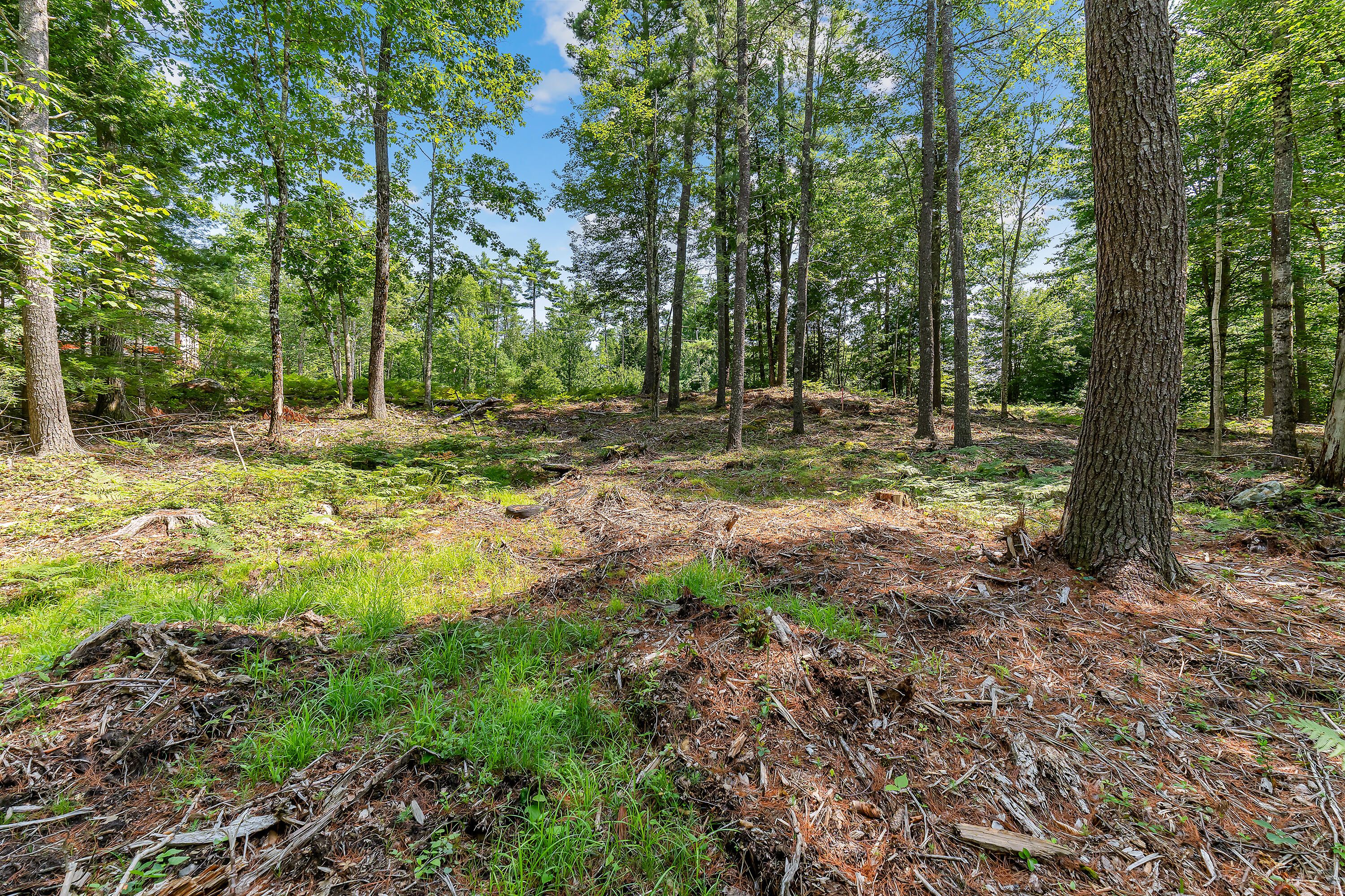 Tbd Ali Pond Road, Unit LOT 8 Berwick, ME 03901 - Photo 7 of 8 Lot 8 Woodland Pond, Berwick