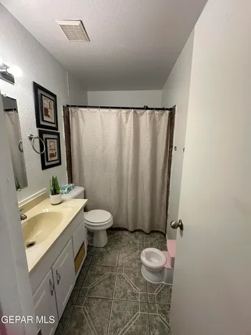 a bathroom with a sink and a toilet