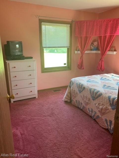 3988 Green Corners Road Metamora, MI 48455 - Photo 27 of 33 image5.jpeg