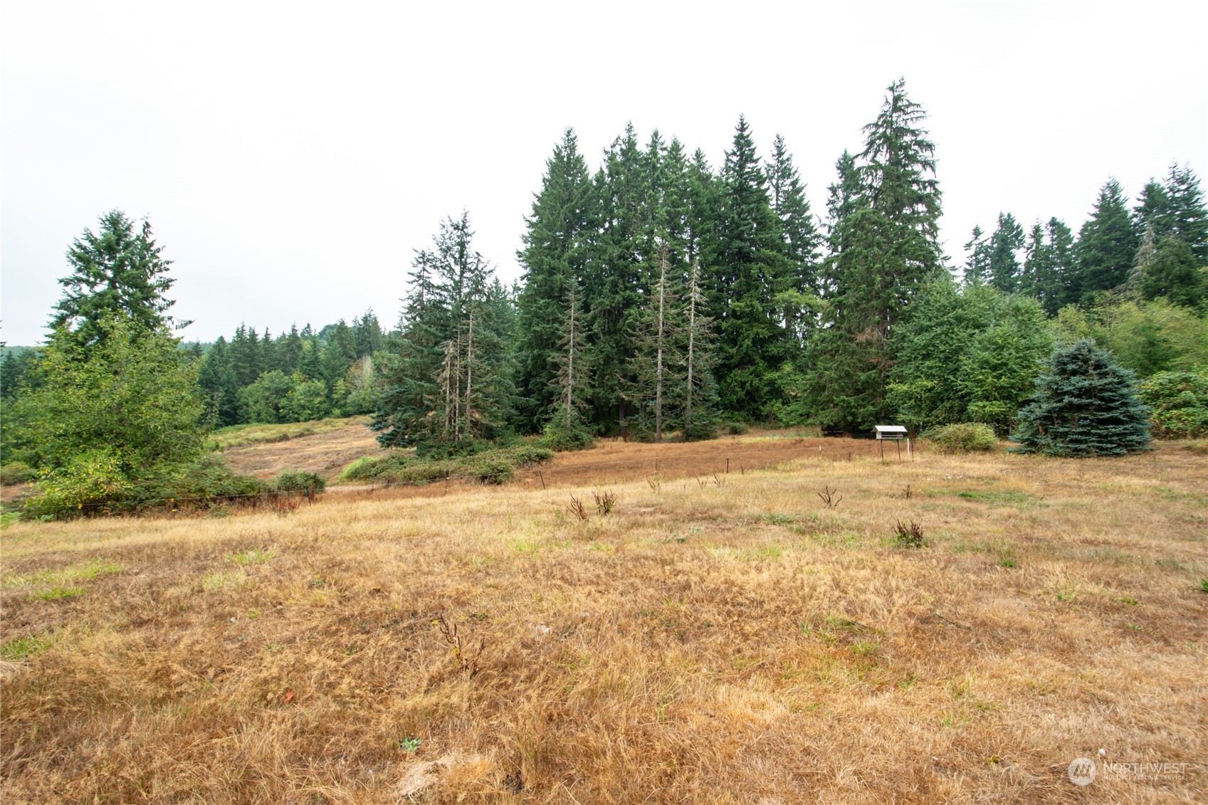 1728 Ostrander Road Kelso, WA 98626 - Photo 34 of 40 Gallery Image 34