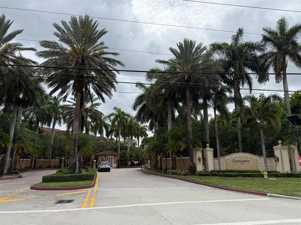 a view of a park with palm trees