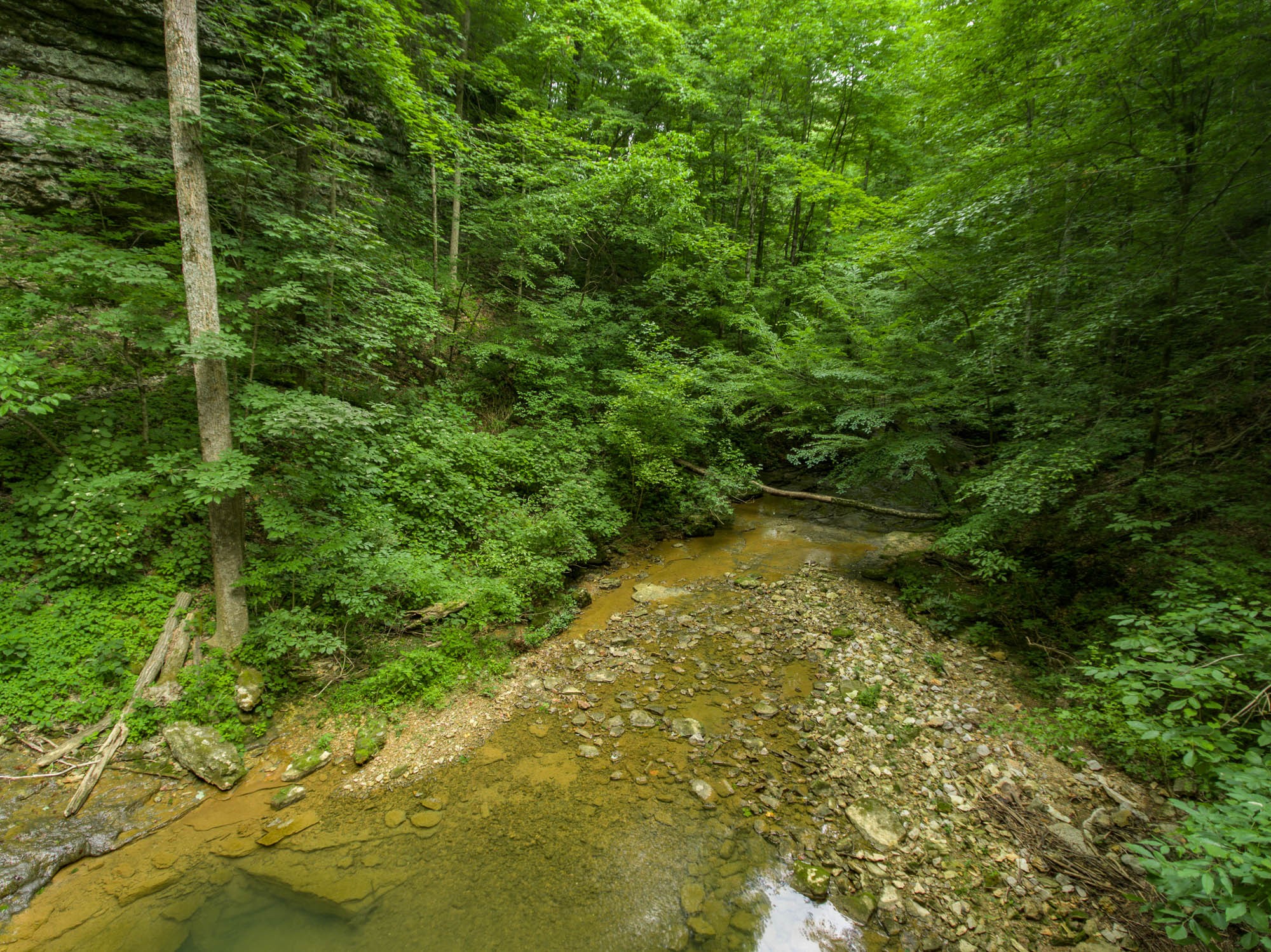 889 Griffintown Road Sparta, TN 38583 - Photo 5 of 50 Gallery Image 5