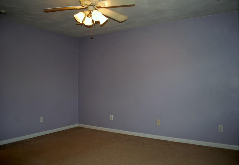 142 Piper Glenn Blue Ridge, VA 24064 - Photo 26 of 46 a view of an empty room with a window
