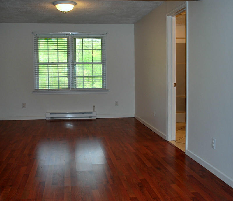 142 Piper Glenn Blue Ridge, VA 24064 - Photo 36 of 46 an empty room with wooden floor and windows
