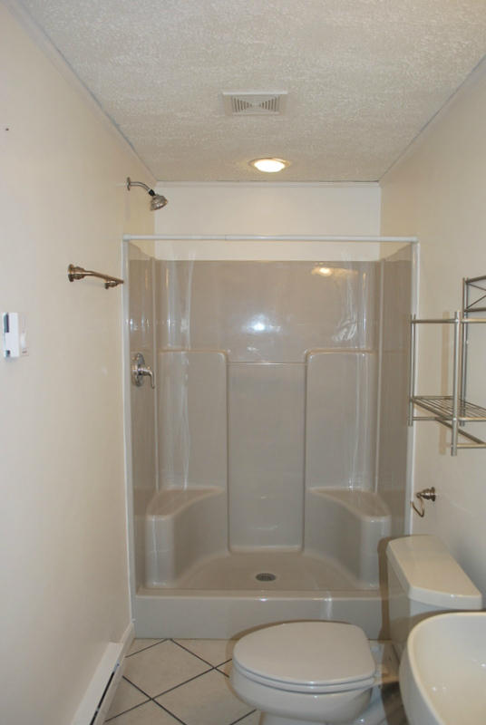 142 Piper Glenn Blue Ridge, VA 24064 - Photo 38 of 46 a bathroom with a toilet a sink and shower