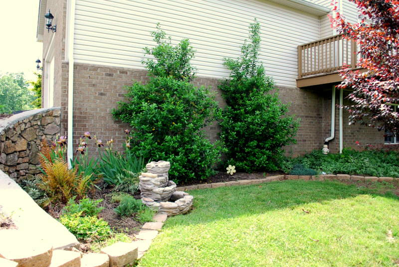 142 Piper Glenn Blue Ridge, VA 24064 - Photo 43 of 46 a garden view with a seating space