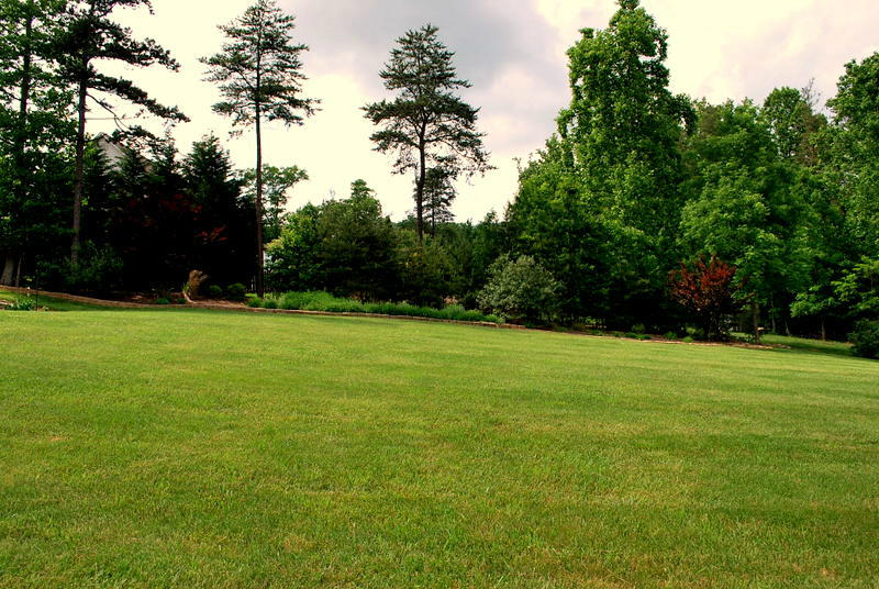 142 Piper Glenn Blue Ridge, VA 24064 - Photo 44 of 46 a view of a grassy field with trees