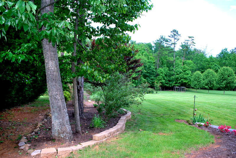 142 Piper Glenn Blue Ridge, VA 24064 - Photo 45 of 46 a view of a backyard with a garden