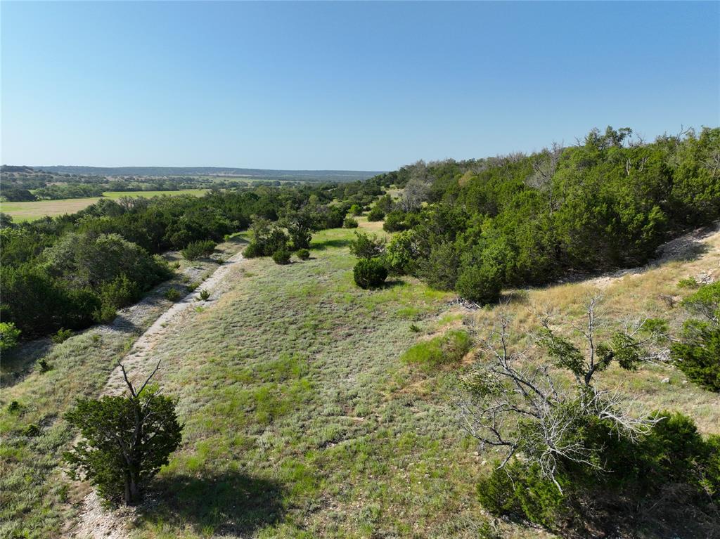 2414 - Tract 4 Evant, TX 76525 - Photo 11 of 27 a view of a yard with large trees