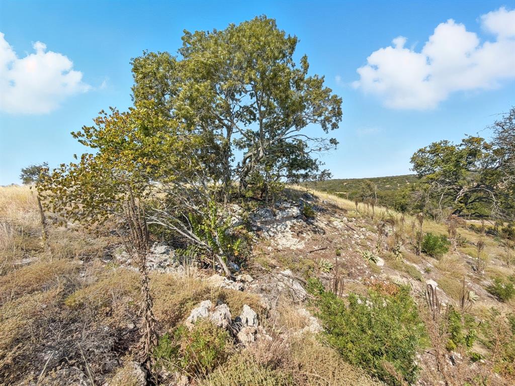 2414 - Tract 4 Evant, TX 76525 - Photo 5 of 27 a view of a field