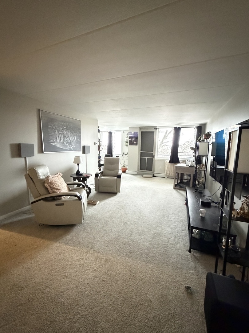 225 South Rohlwing Road, Unit 418 Palatine, IL 60074 - Photo 3 of 12