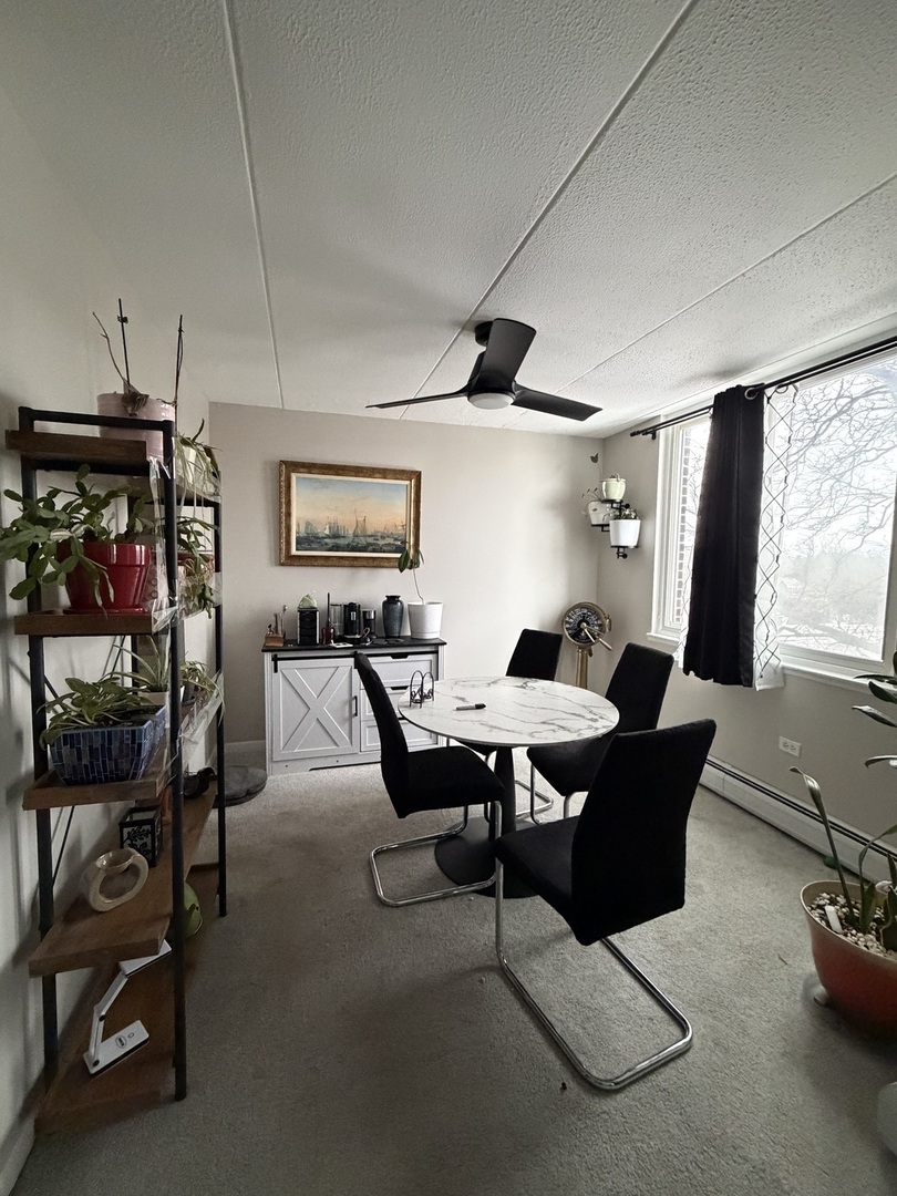 225 South Rohlwing Road, Unit 418 Palatine, IL 60074 - Photo 4 of 12