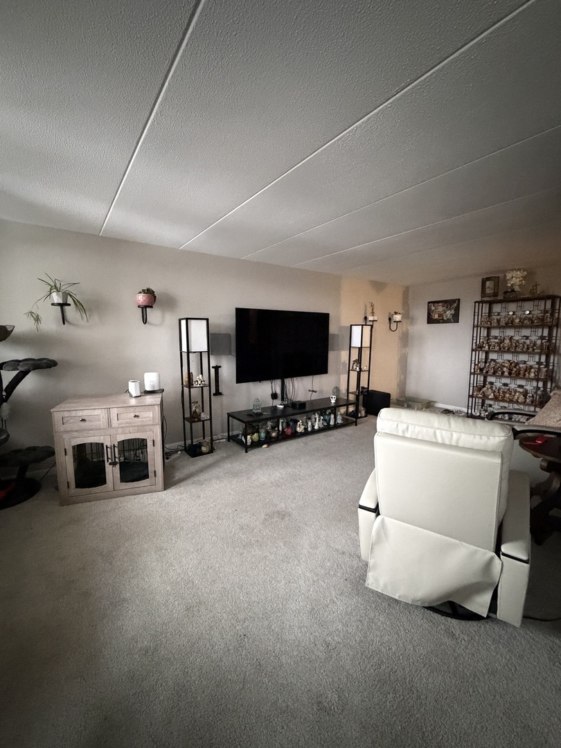 225 South Rohlwing Road, Unit 418 Palatine, IL 60074 - Photo 5 of 12