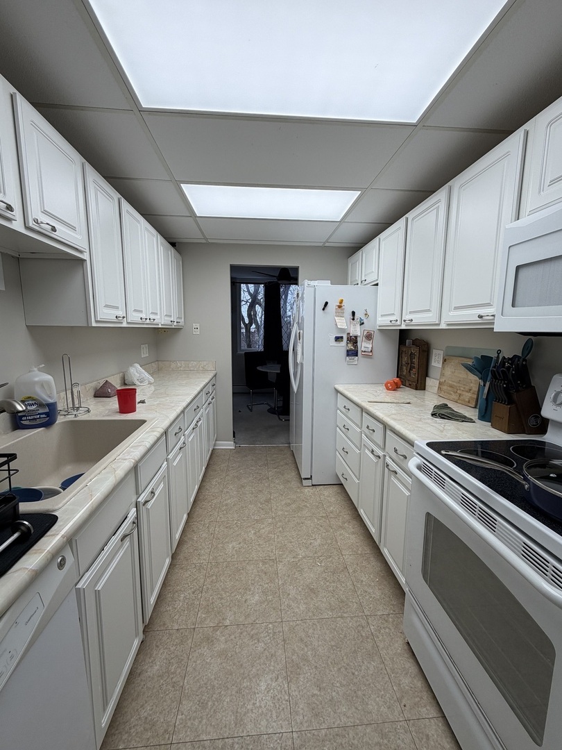 225 South Rohlwing Road, Unit 418 Palatine, IL 60074 - Photo 7 of 12