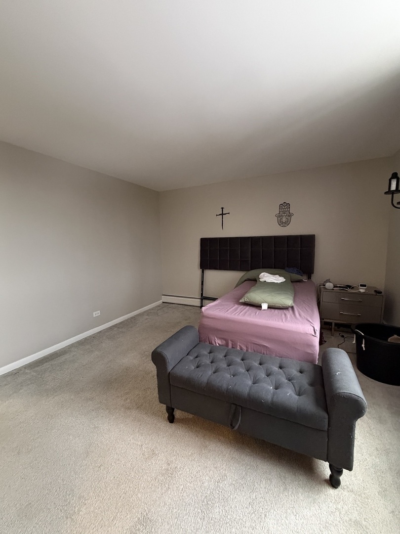 225 South Rohlwing Road, Unit 418 Palatine, IL 60074 - Photo 10 of 12