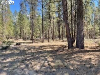 50853 Fawn Loop La Pine, OR 97739 - Photo 3 of 5 Gallery Image 3