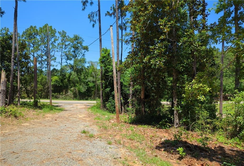 29314 Jenkins Farm Road Loxley, AL 36551 - Photo 11 of 11