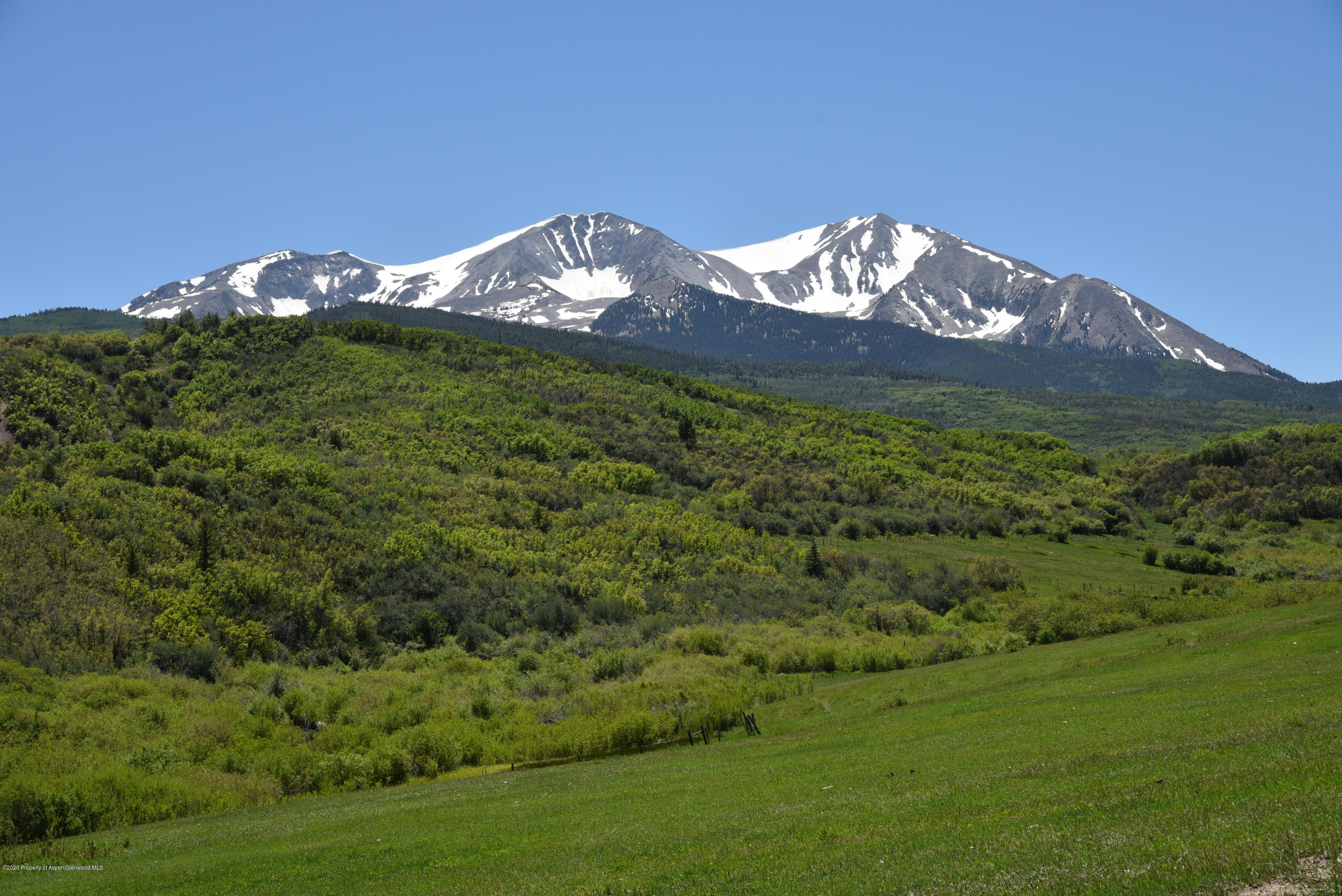 630 Spring Creek Road Basalt, CO 81621 - Photo 50 of 72 Lower horse pasture along the creek