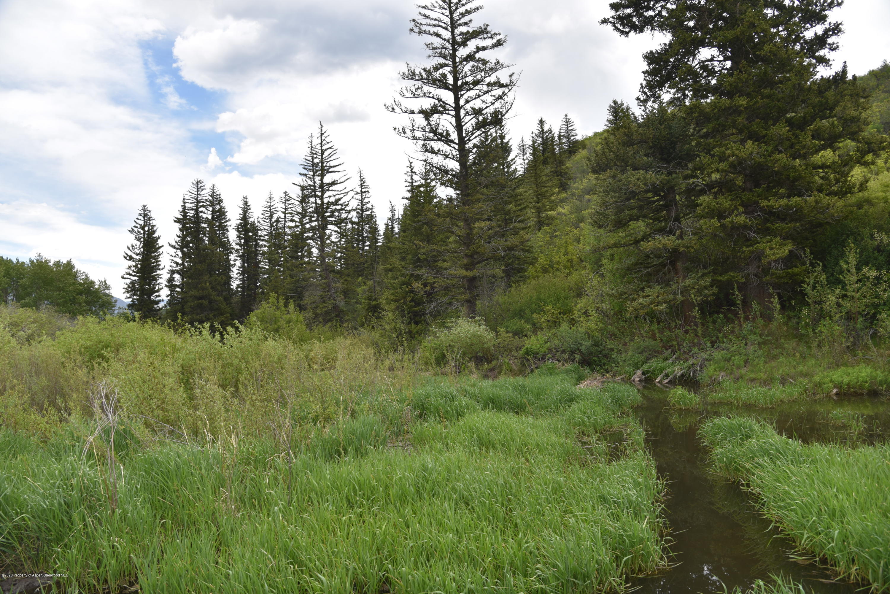 630 Spring Creek Road Basalt, CO 81621 - Photo 52 of 72 a view of a big yard with plants and large trees