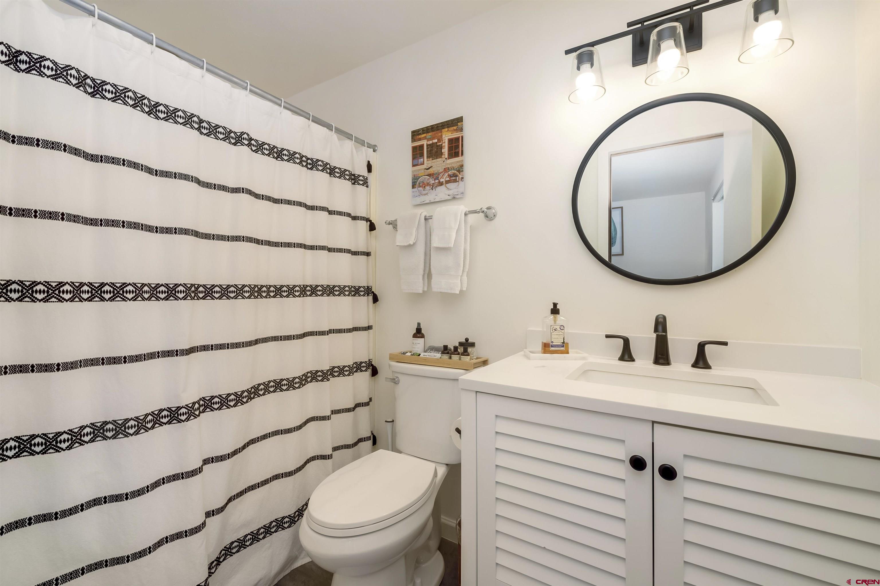 651 Gothic Road, Unit 511 Crested Butte, CO 81225 - Photo 27 of 34 a bathroom with a toilet a sink and a mirror